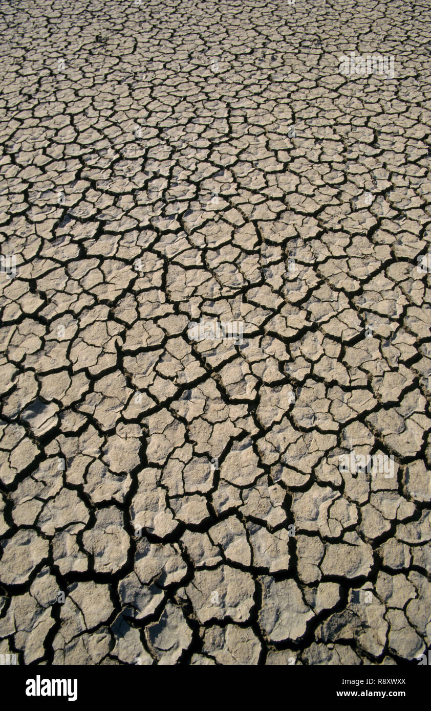 cracked on earth, Clay pattern, prismatic structures in soil, drought Stock Photo