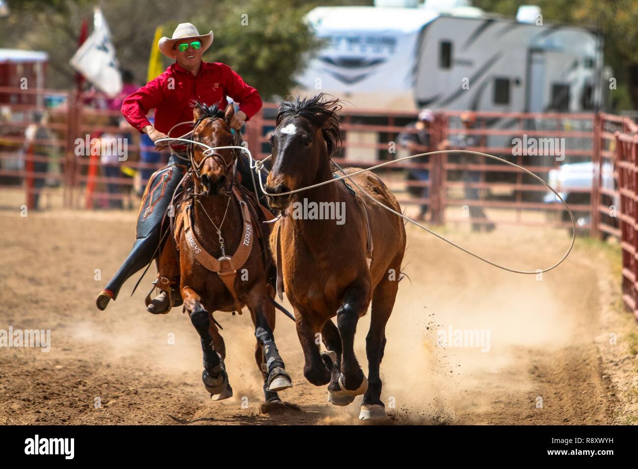 A bareback bronc riding horse is captured after his rider was bucked off at the Cochise College Rodeo at Wren Arena, Fort Huachuca. The event is hosted by the Sierra Vista Riding Club and Cochise College in conjunction with FMWR.  Fort Huachuca Public Affairs Stock Photo