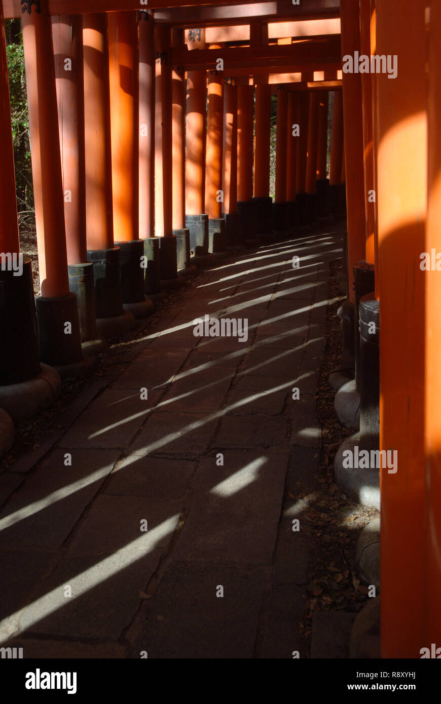 Torii gates at Fushimi Inari Shrine, Kyoto, Japan Stock Photo - Alamy
