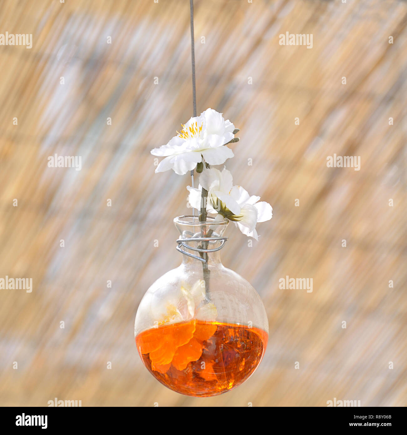 Original Ornament Of Small Glass Vases Hanging With White Flowers