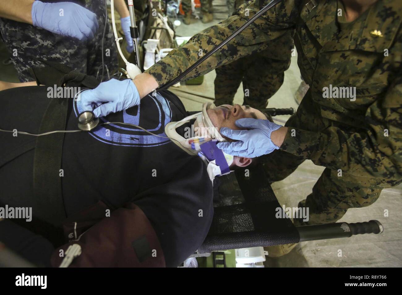 Sailors check the vitals of a role-playing patient during Naval Medical Augmentation Program training at Camp Lejeune, N.C., Feb. 27-March 2. NMAP training is used to cerfity Sailors for deployment and ensure they have the proper skill sets to maintain a high survival rate. The Sailors are with 2nd Medical Battalion. Stock Photo