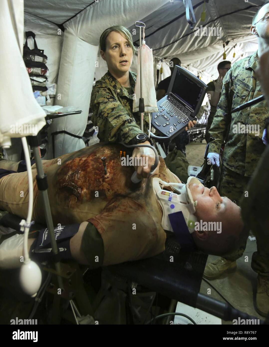 A Sailor performs an ultrasound on a notional patient to see any possible debris in the chest cavity during Naval Medical Augmentation Program training at Camp Lejeune, N.C., Feb. 27-March 2. The training is designed to improve reaction times and equip personnel with life-saving knowledge for possible future deployments. The Sailors are with 2nd Medical Battalion. Stock Photo