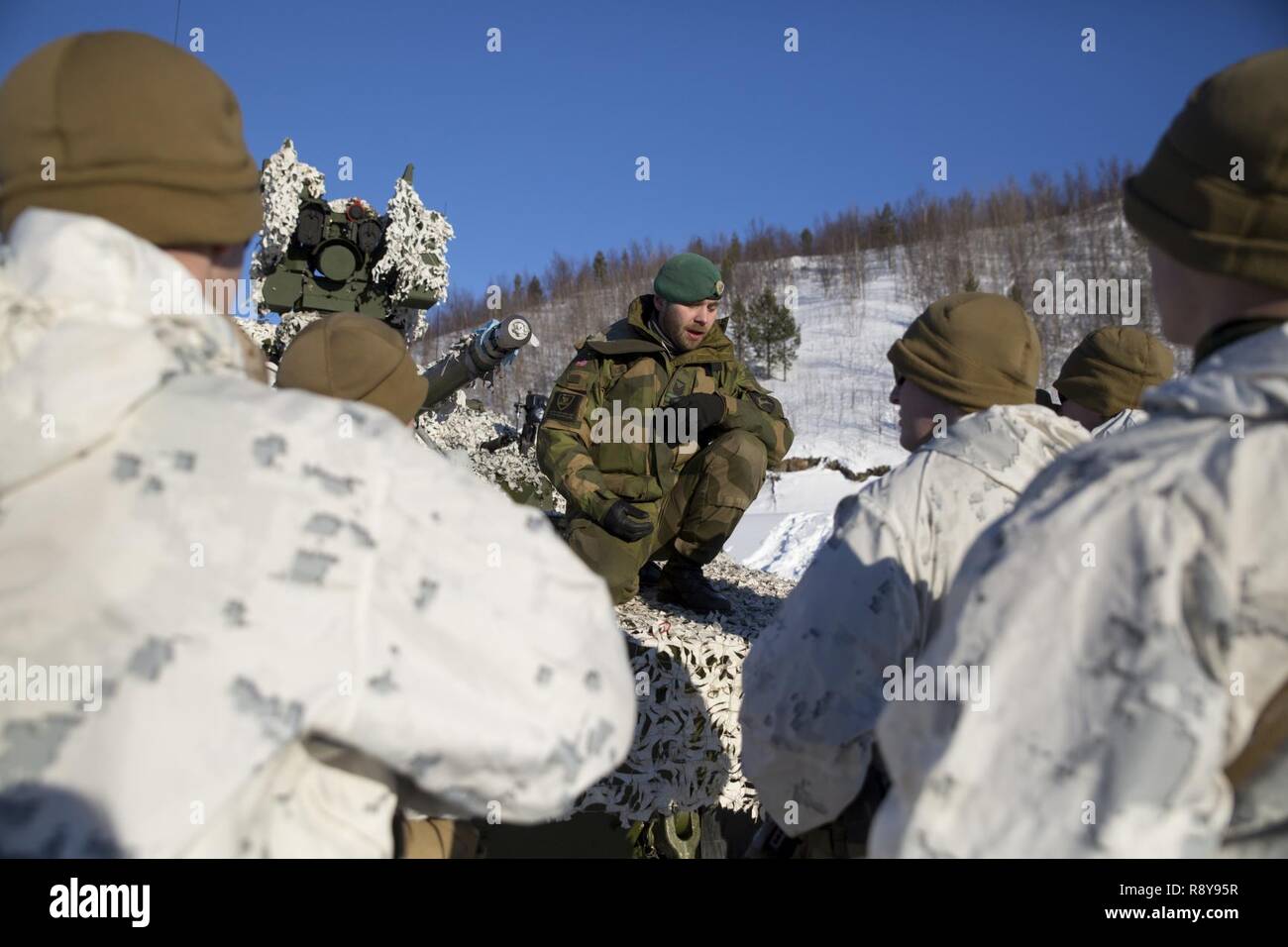 U.S. Marines with Marine Rotational Force Europe (MRF-E) receive a lecture on the Norwegian tank in Porsangmoen, Norway, March 7, 2017. The Marines of MRF-E trained alongside NATO Allies during Exercise Joint Viking 17.1. Stock Photo