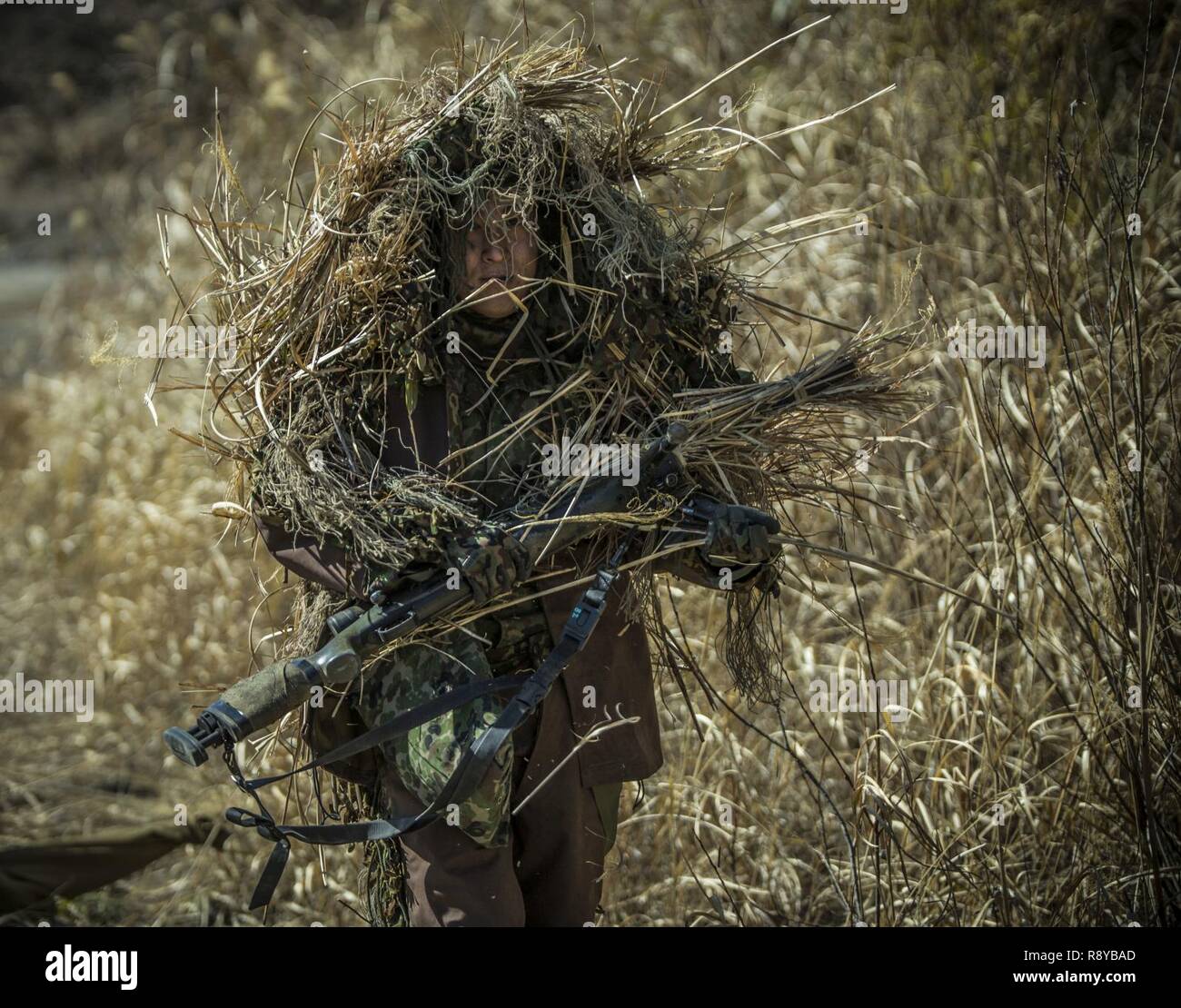 A Japan Ground Self-Defense Force scout sniper prepares his ghillie suit in during exercise Forest Light 17-1 at Somagahara, Japan, March 10, 2017. Forest Light is one of various bi-lateral training opportunities conducted by JGSD and deployed U.S. Marine forces to demonstrate the enduring commitment by both countries to peace, stability, and prosperity across the region. The Japanese soldiers are with 30th Infantry Regiment and partnering with Marines from 2nd Battalion, 3rd Marine Regiment. Stock Photo