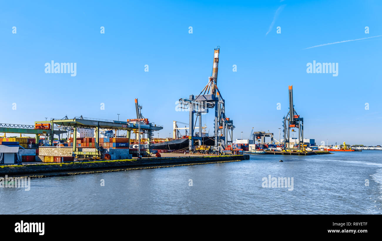 Container cranes on the quays of the Waalhaven, one of the main ...