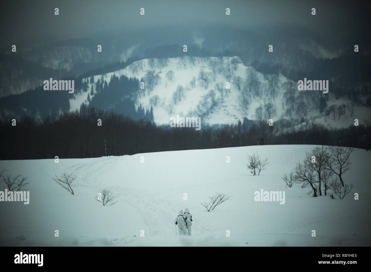 Japan Ground Self-Defense Force Soldiers make movement through snow at ...