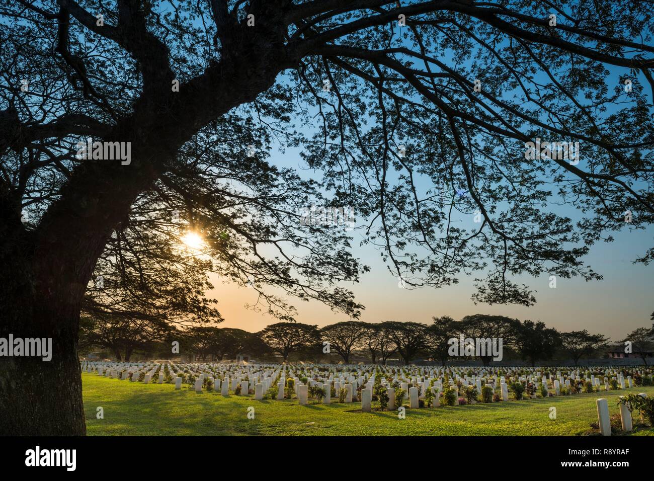 Papua-New-Guinea, National Capital District, Port Moresby, Bomana australian military cimetery, trees over the graves Stock Photo