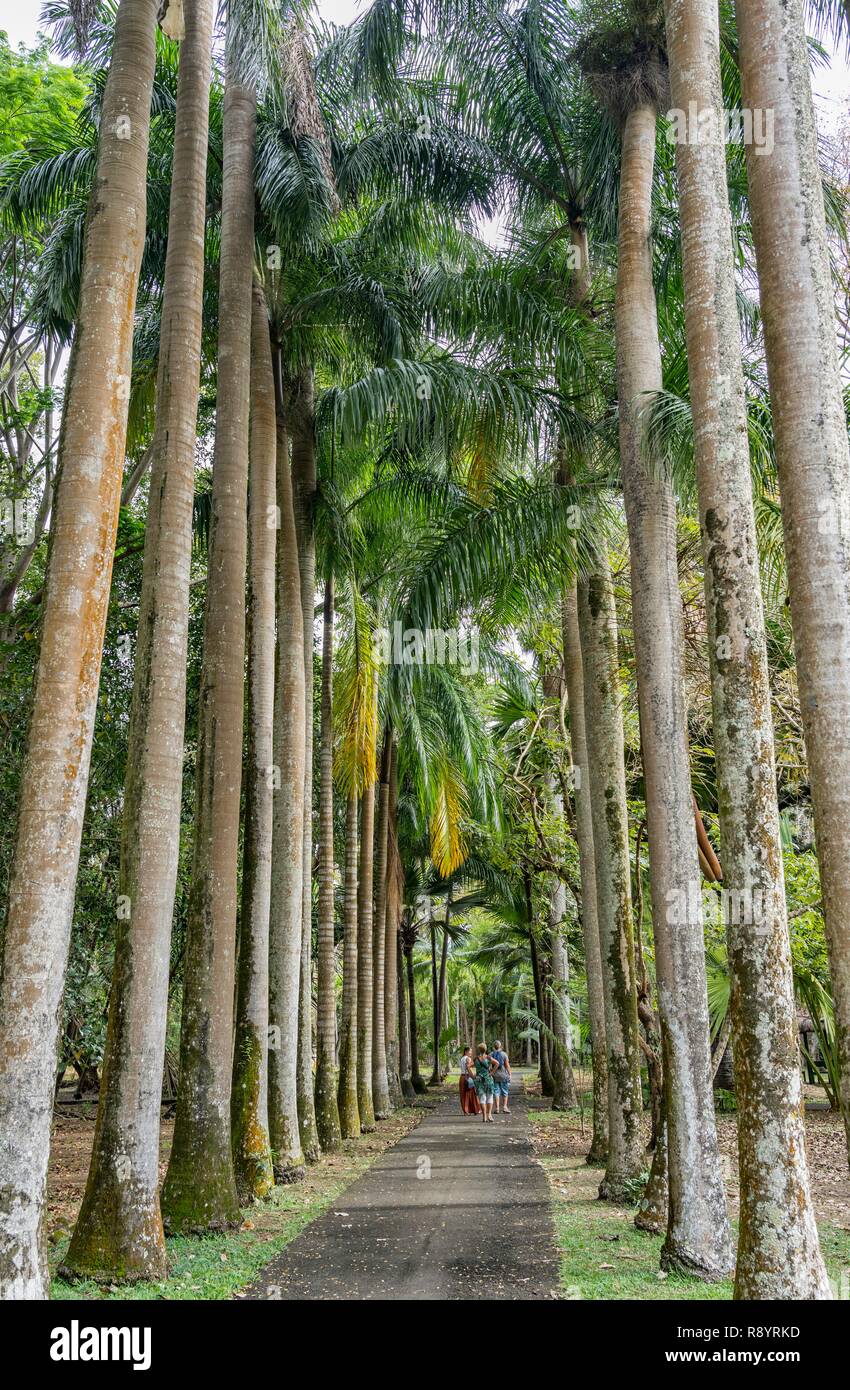 Mauritius, Pamplemousses disctrict, Pamplemousses, Sir Seewoosagur Botanical Garden, Pamplemousses Garden Stock Photo