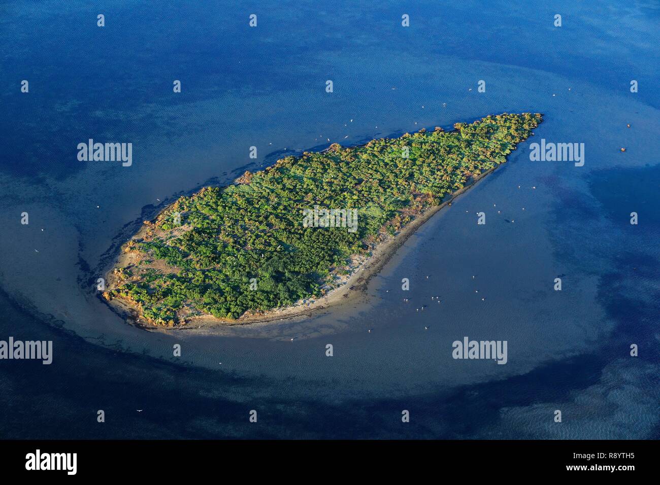France Bouches Du Rhone Camargue Regional Nature Park Carteau Bay Port Saint Louis Du Rhone Islet Aerial View Stock Photo Alamy France Bouches Du Rhone Camargue Regional Nature Park Carteau Bay Port Saint Louis Du Rhone Islet Aerial View Stock Photo Alamy