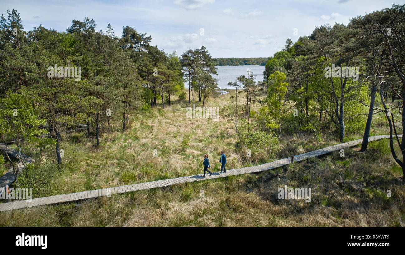 Paimpont (Brittany, north-western France): wooden footbridge in the middle of the natural area, on the banks of the pond of Paimpont. Walk through the Stock Photo