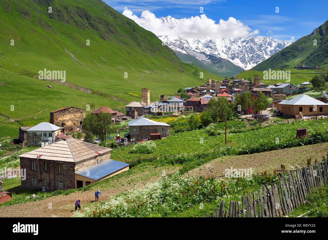 Georgia, Upper Svaneti (Zemo Svaneti), village of Ushguli, listed as World heritage by UNESCO, Svan defensive towers erected next to the houses and Mount Chkhara (highest peak in Georgia with 5,193 m) in the background, two farmers plow their field Stock Photo