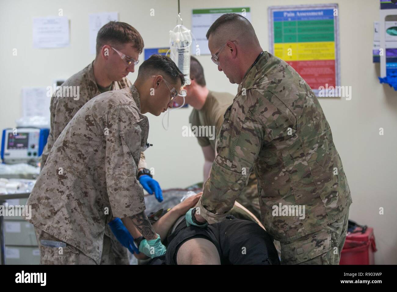 CAMP BEUHRING, Kuwait (Mar. 2, 2017) U.S. Navy Sailors with 11th Marine Expeditionary Unit (MEU) and soldiers with the 31st Combat Support Hospital, 1st Medical Brigade, assess a simulated casualty during a mass casualty drill as part of a sustainment training (SUSTEX) exercise at Camp Beuhring, Kuwait, Mar. 2. During the training, medical participants identified physical and mental trauma to arrange patient care into categories based on severity of injuries sustained. Through the training conducted at SUSTEX, Marines and Sailors with the 11th MEU remain postured to respond to emerging crises, Stock Photo