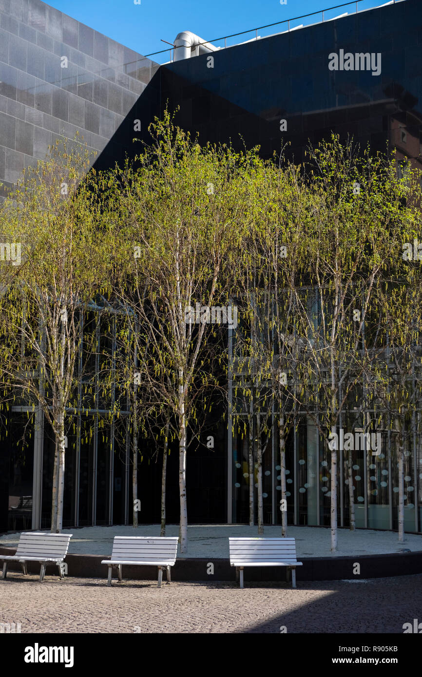 young birch trees and white park benches in front of the black outer wall in the courtyard of the K20 Kunstsammlung NRW, Dusseldorf, Germany Stock Photo