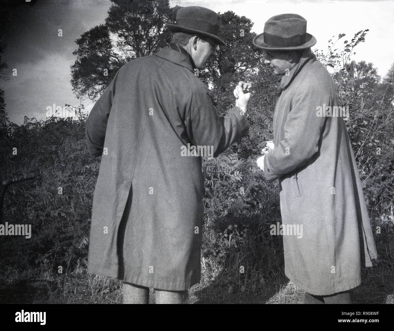 Trilby hats hi-res stock photography and images - Alamy