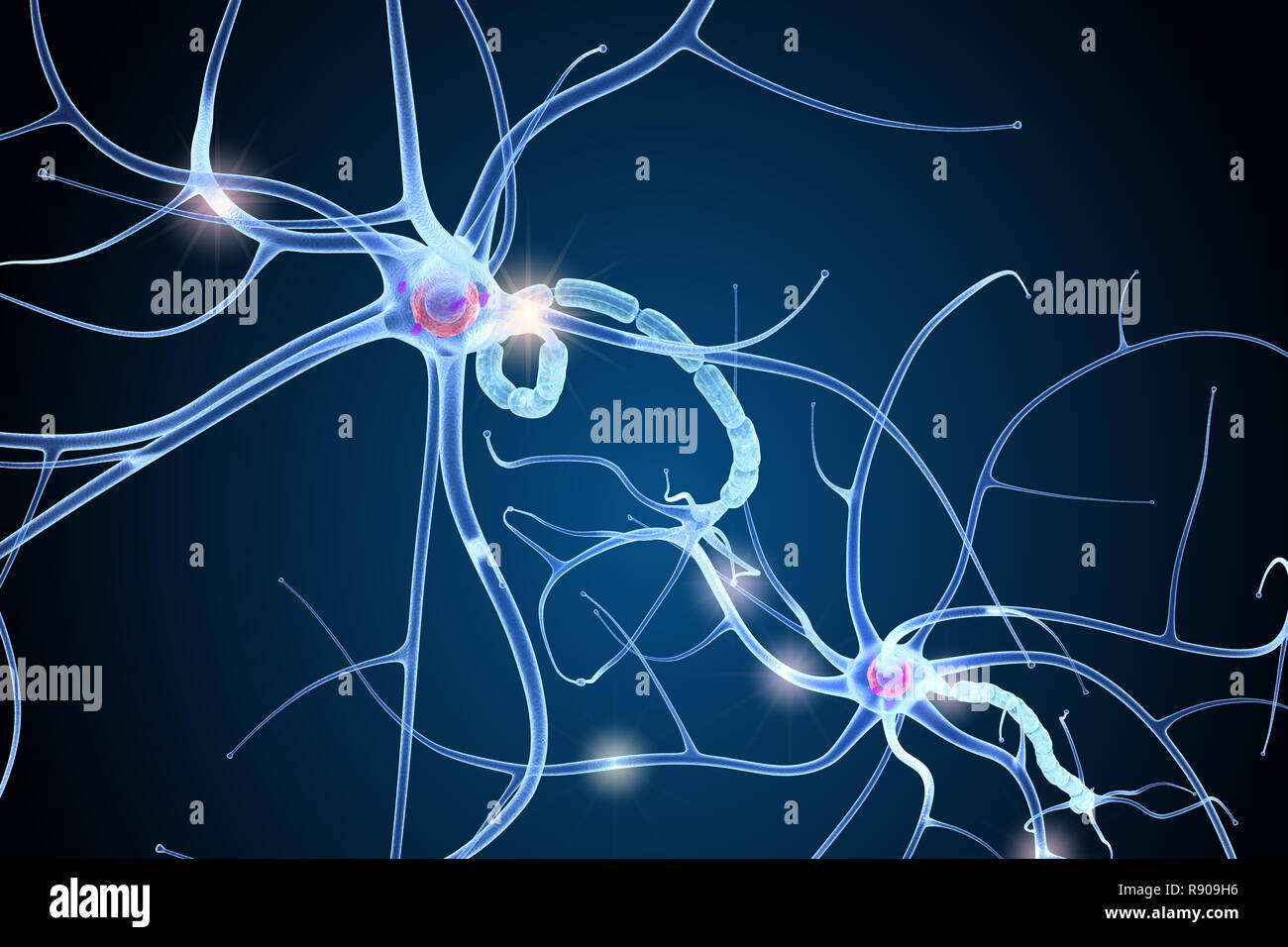 Nerve cell anatomy in details. 3D illustration Stock Photo