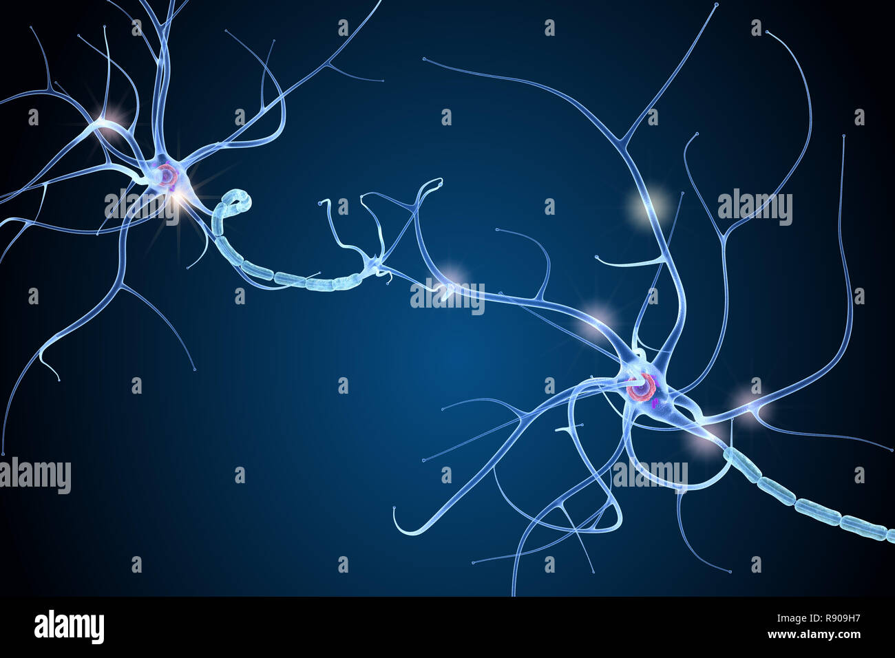 Nerve cell anatomy in details. 3D illustration Stock Photo