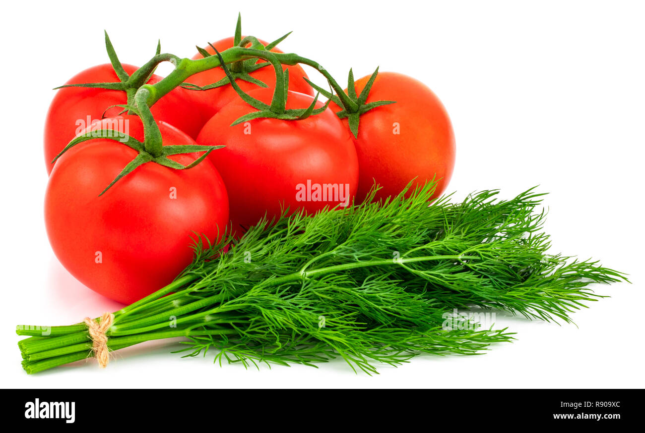tomato and dill isolated on white background Stock Photo Alamy
