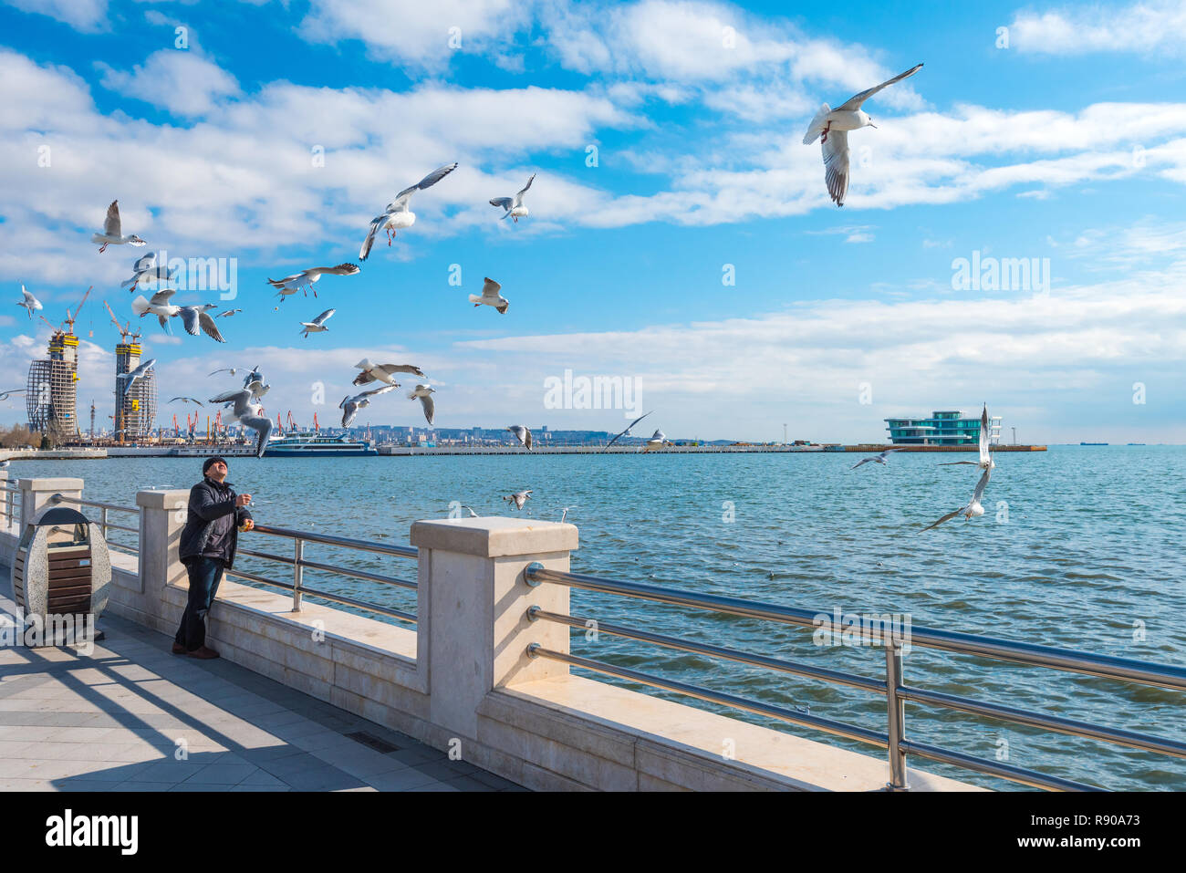 Baku/Azerbaijan - November 27, 2018. Man feeding seagulls on the boulevard Stock Photo
