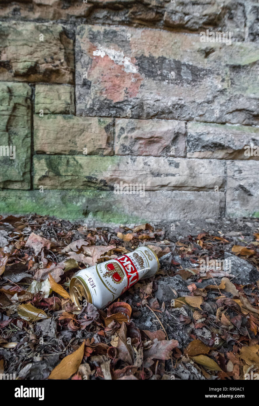 Empty can of Polish beer discarded on the floor.. Stock Photo