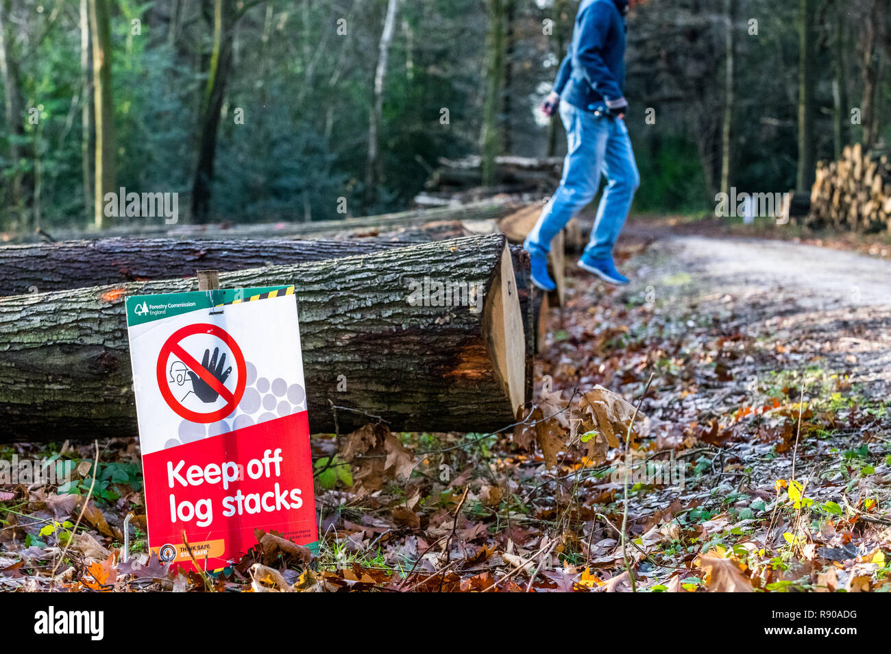 Forestry Commission Health and Safety sign "Keep off Log Stacks" . Stock Photo