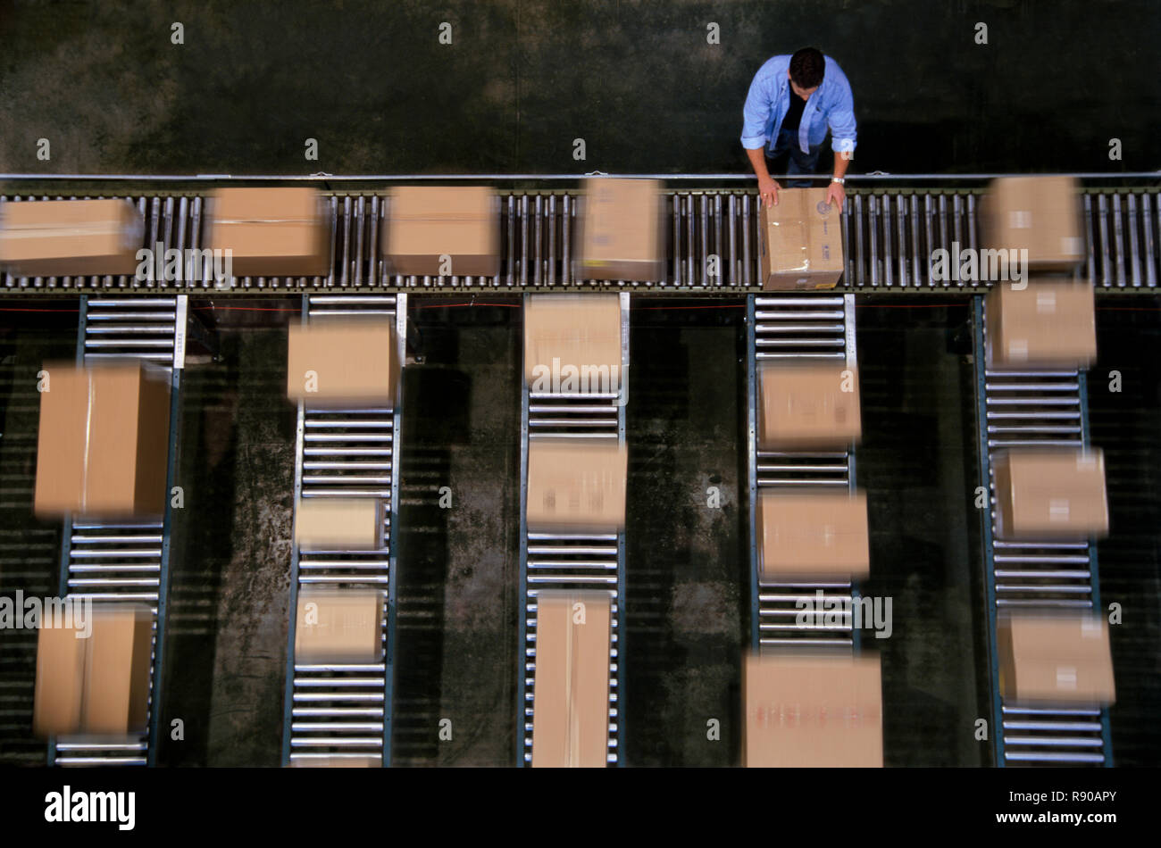 Warehouse employees organizing cardboard boxes moving on a conveyor