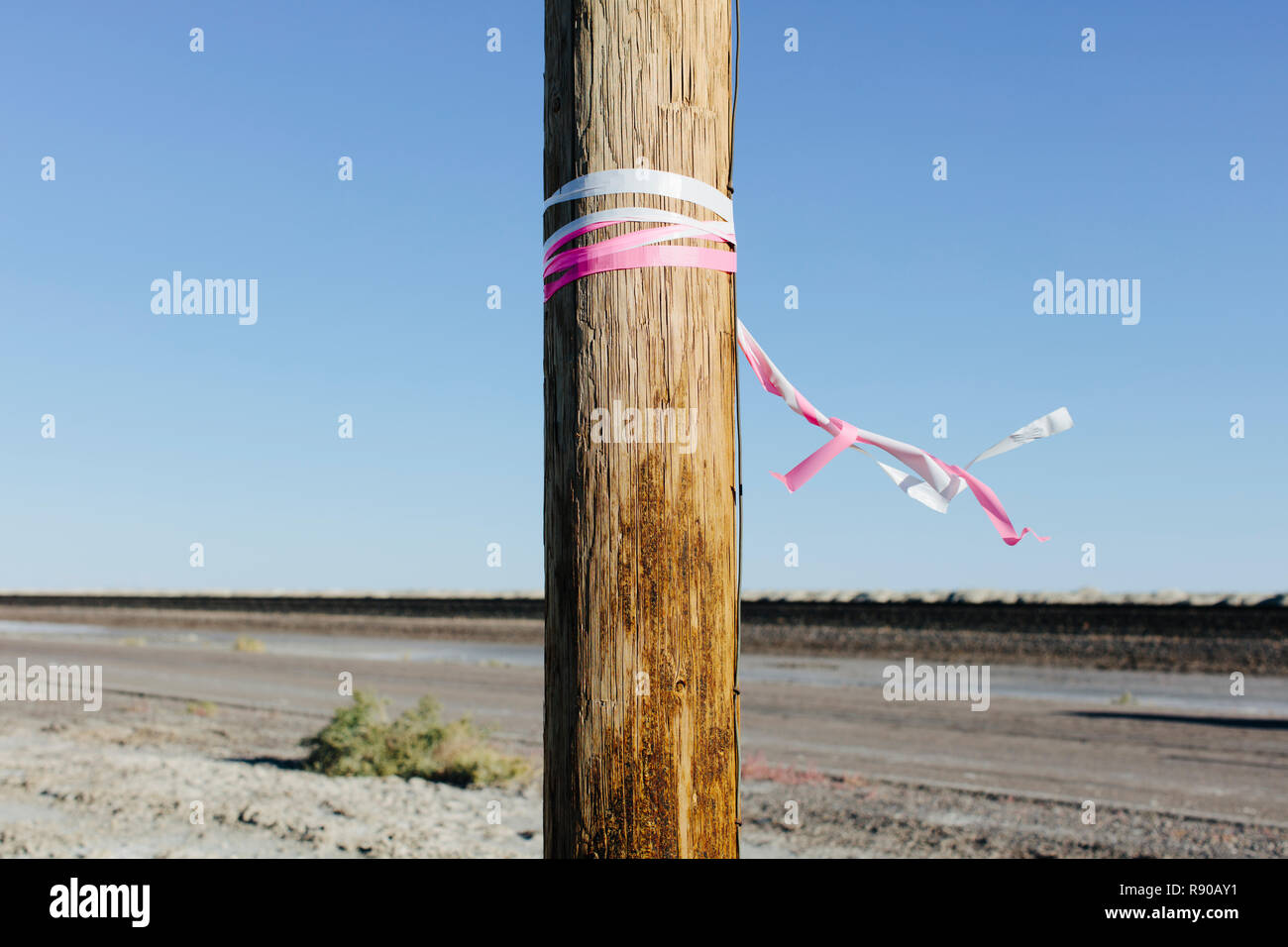 A wooden post beside a highway in a flat landscape, prairie, with pink and white ribbons tied around it, memorial to crash victim, windblown Stock Photo