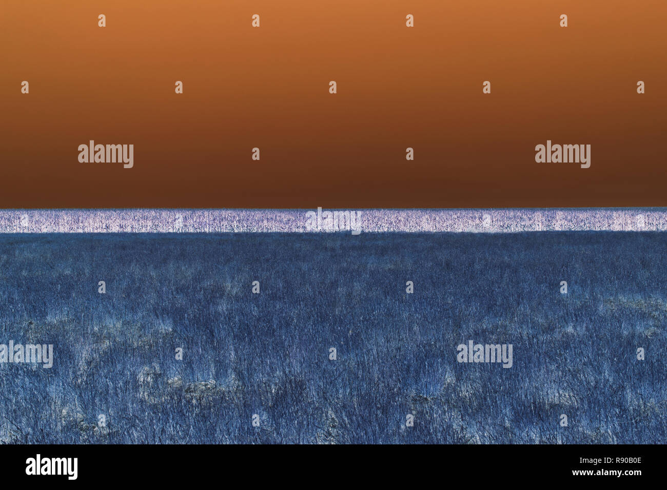 Inverted colour image hi-res stock photography and images - Alamy