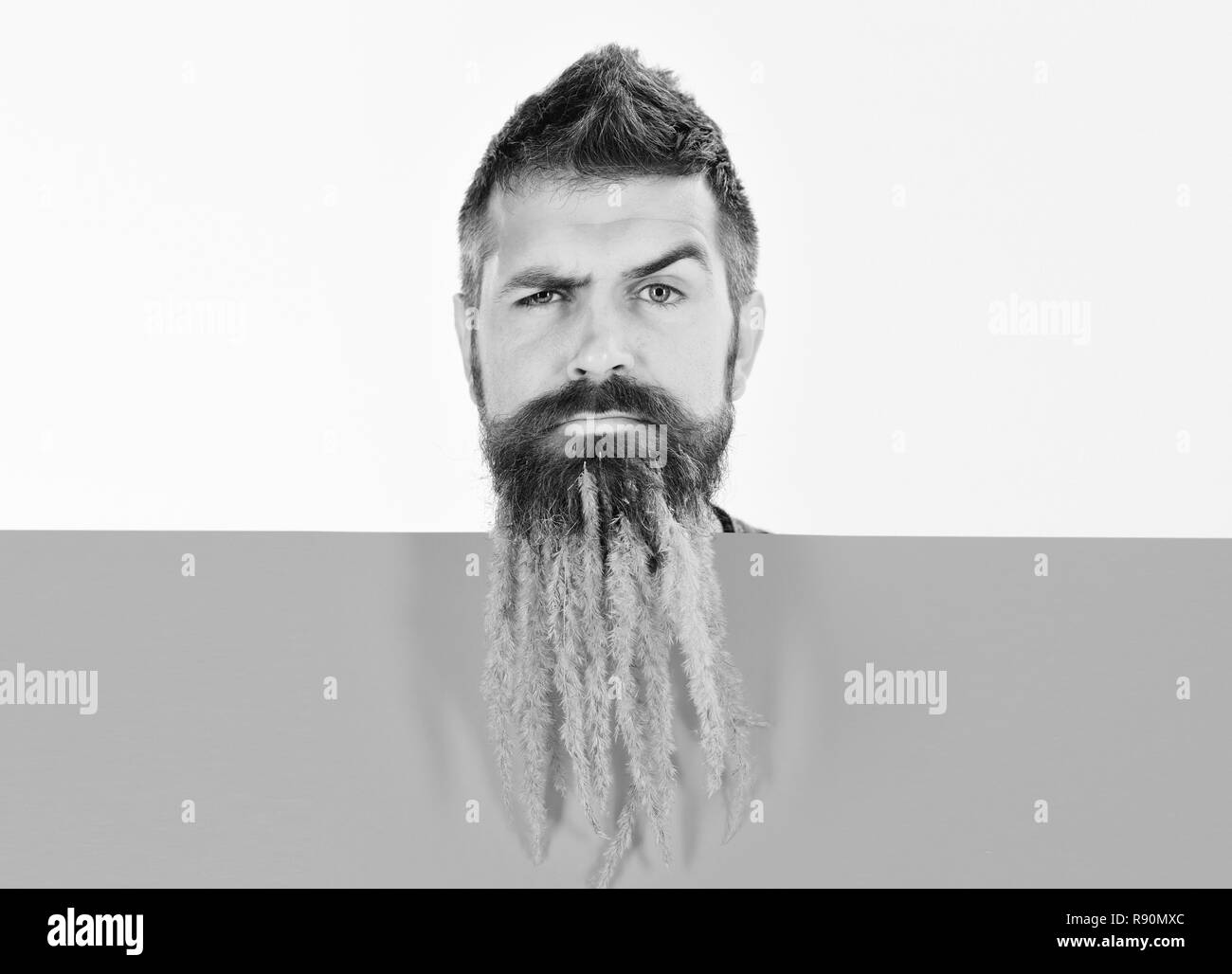 Hipster With Curious Face In Autumn Nature Spikelet Beard At