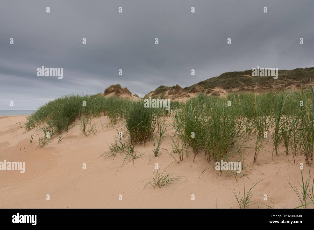 Search stock photos by tags