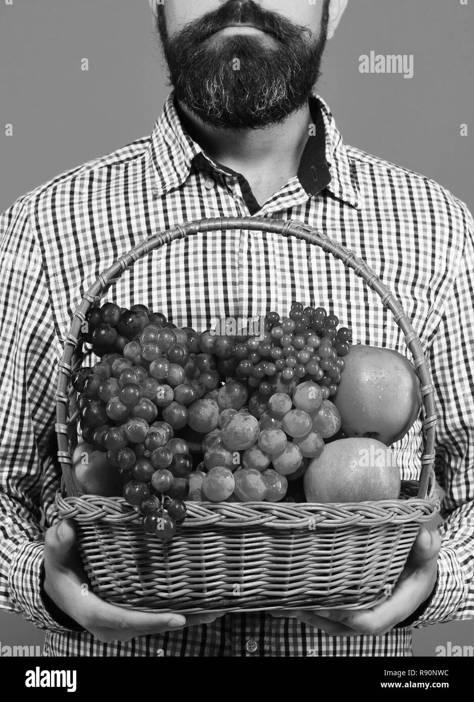 Guy holds homegrown harvest. Farming and gardening concept. Male hands hold basket with fruit isolated on blue background. Farmer with beard presents apples, grapes and cranberries Stock Photo