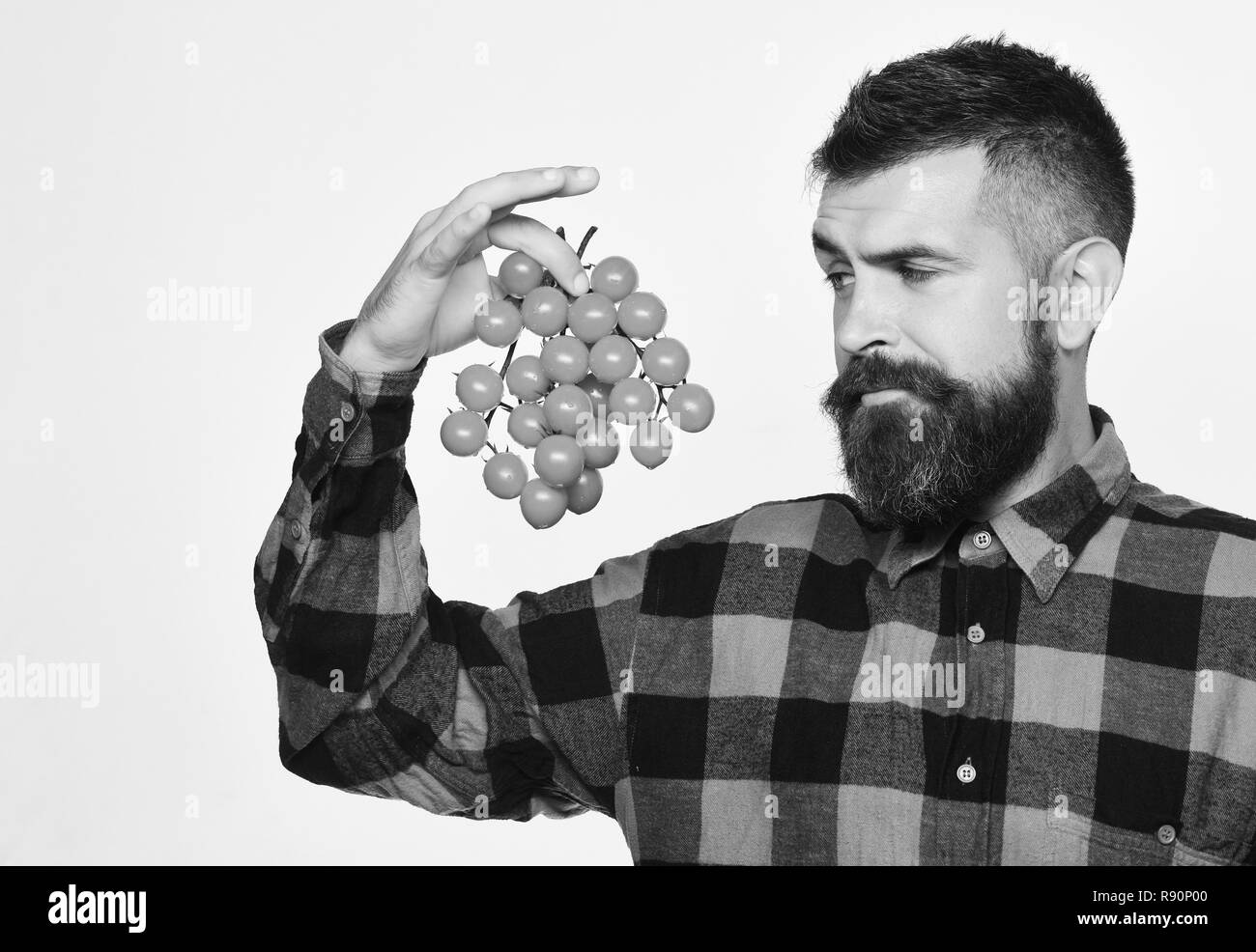 Man with beard holds tomato berries isolated on white background. Farmer with questioning face holds bunch of cherry tomatoes. Farming and autumn concept. Guy shows his harvest Stock Photo