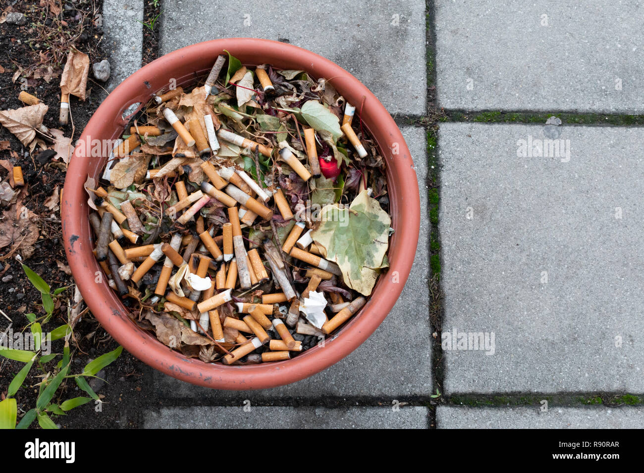 Discarded cigarette butts in a flower pot Stock Photo