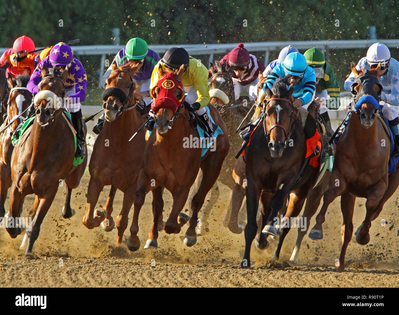 Thoroughbred horses and jockeys head down the homestretch in a dirt race. Head-on front view. Stock Photo
