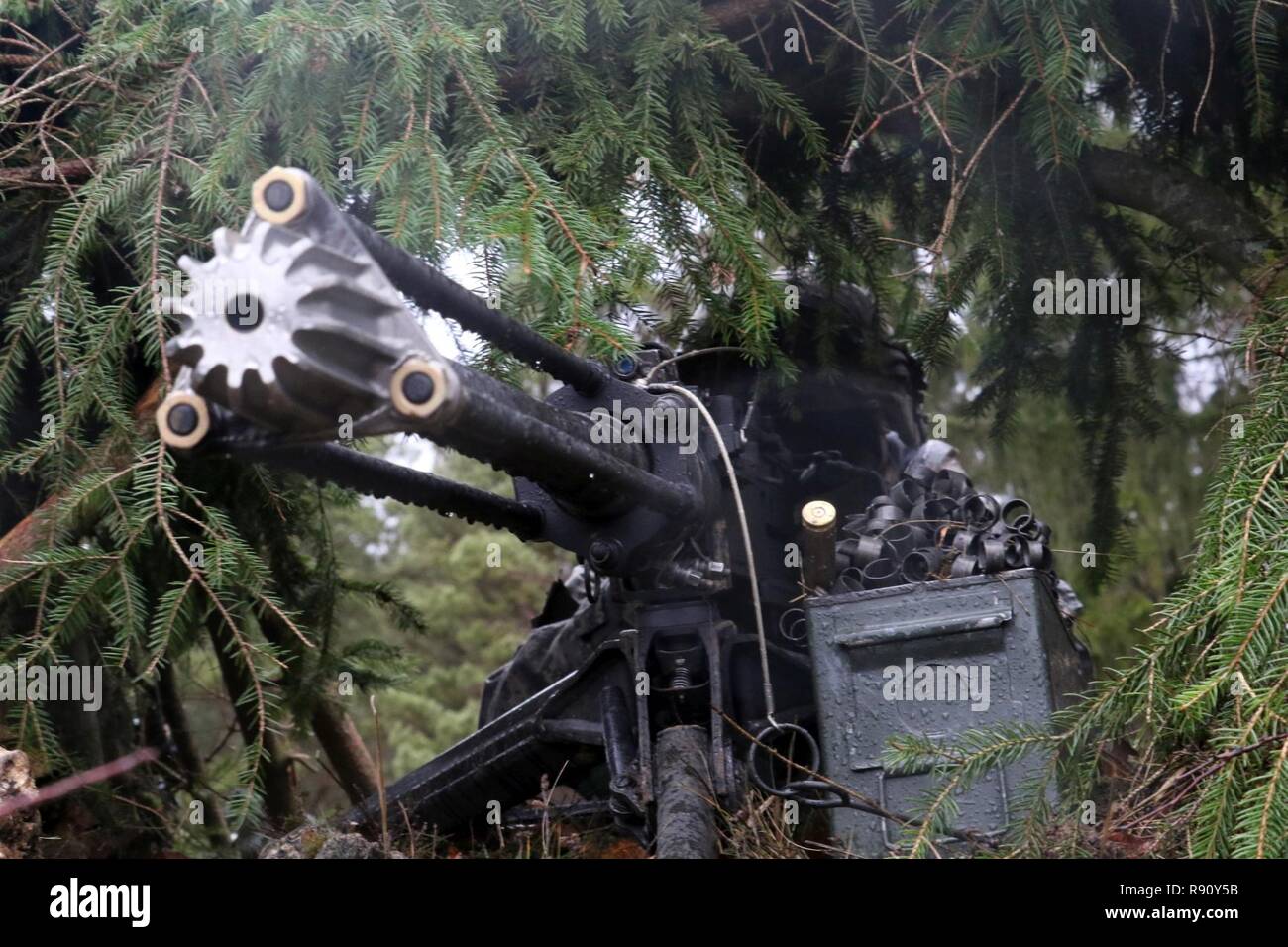 Pfc. Dominique Daniels, 615th Military Police Company, 18th Military ...