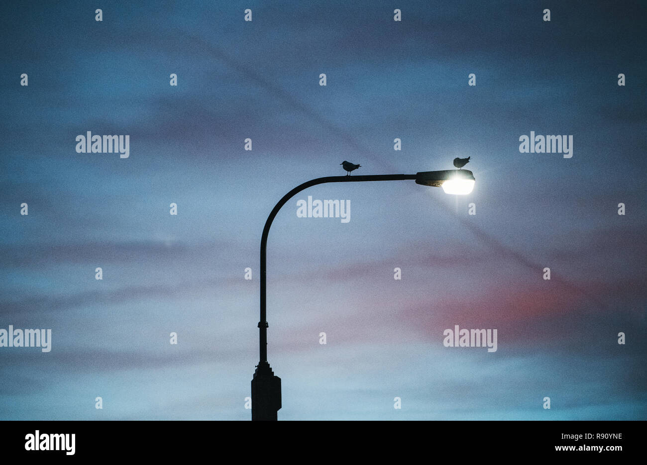 A street light against cloudy twilight background. Copy space. Stock Photo