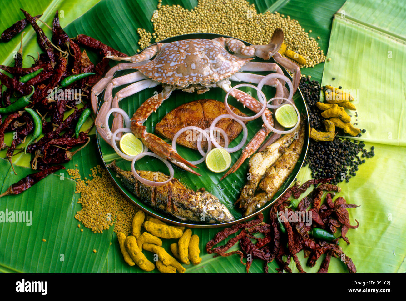 Navari Fish a sample of kerala sea food Stock Photo - Alamy