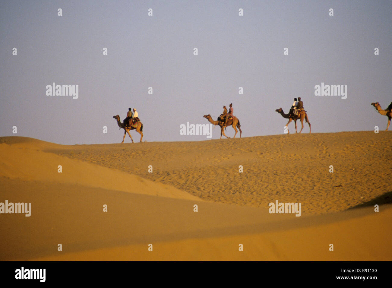 Camel Riding in Sand at Jaisalmer, Rajasthan, India Stock Photo