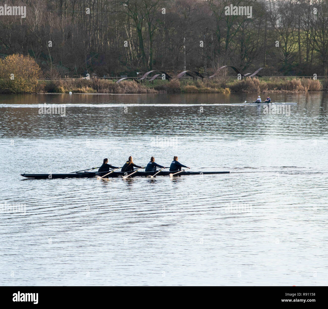 Four female rowers out in a scull rowing boat on the lake at Trentham Gardens Staffordshire  England UK Stock Photo