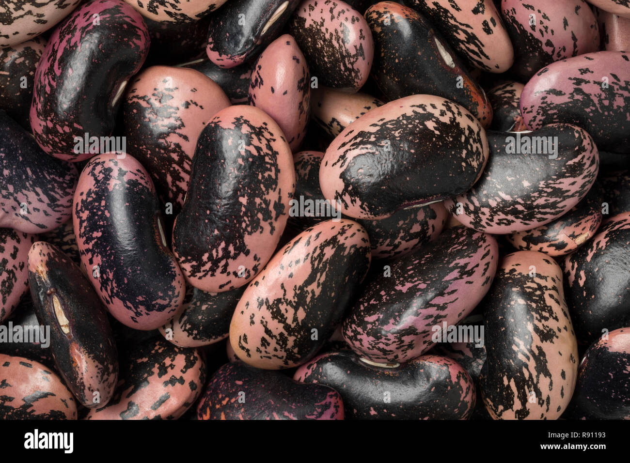 Large scarlet runner beans close up full frame Stock Photo