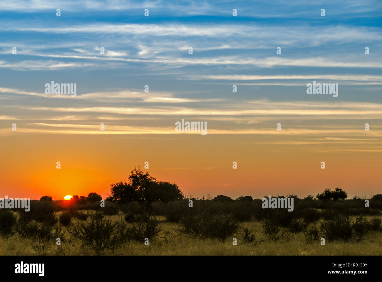 Sunset on the red Kalahari desert with a blue and orange sky in southern Namibia, Africa Stock Photo