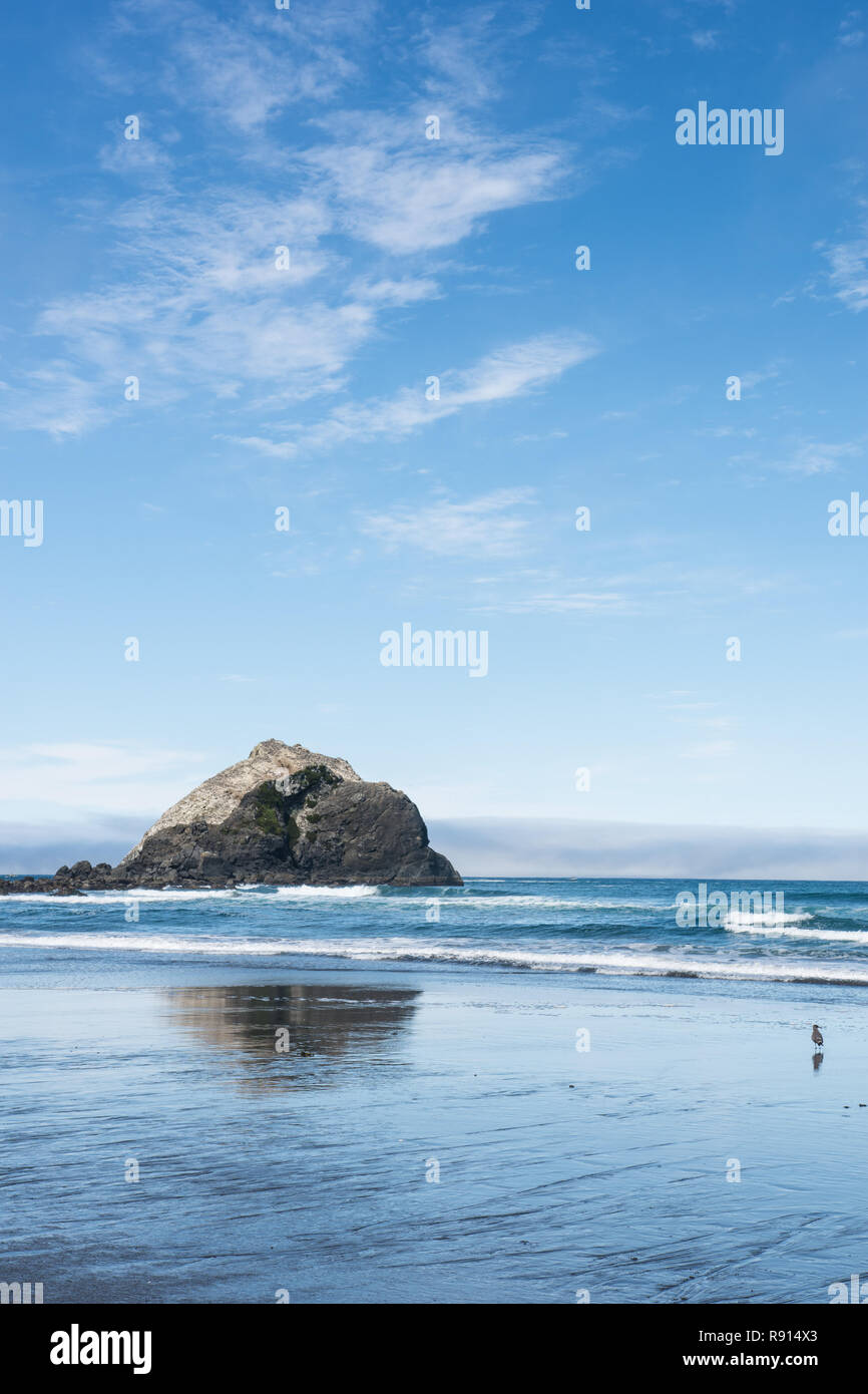 Sea stacks in the Pacific Ocean near Crescent City California on a ...