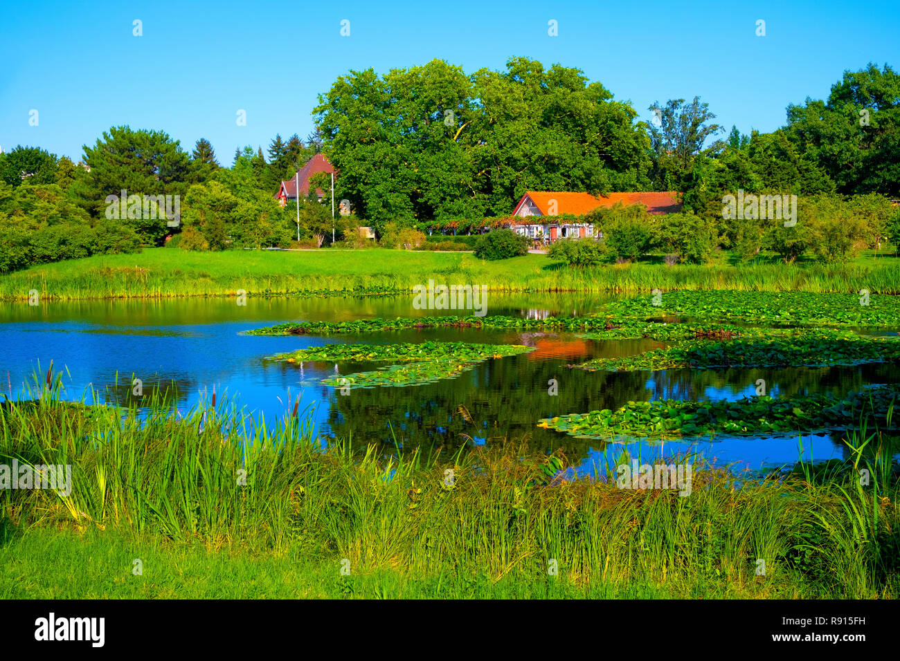 Berlin, Berlin state / Germany - 2018/07/31: Panoramic view of the Berlin Dahlem Botanical Garden and Museum - Botanischer Garten Stock Photo