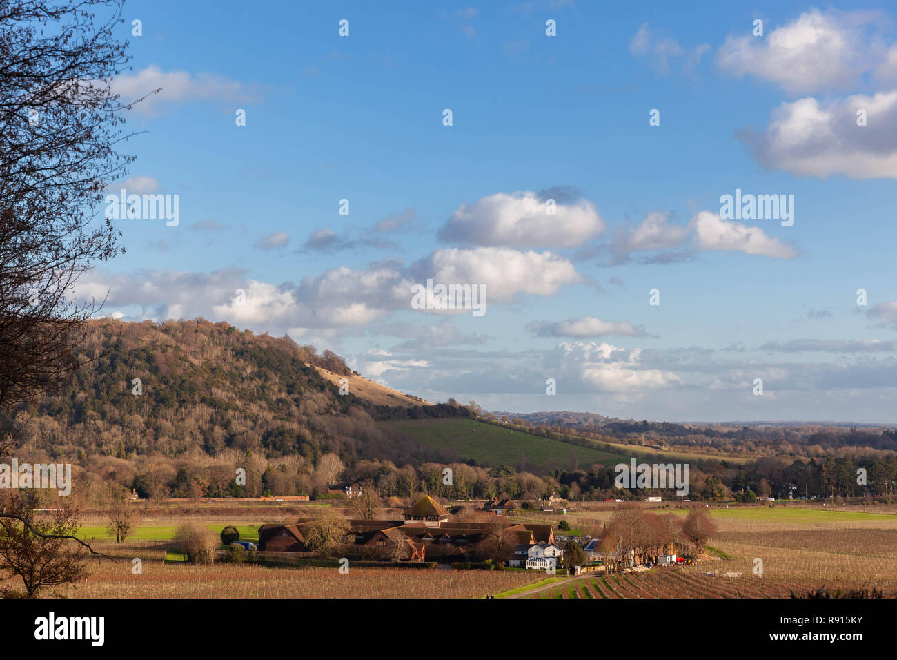View of Box Hill seen from Denbies Wine Estate, North Downs, Surrey, England, UK. Stock Photo
