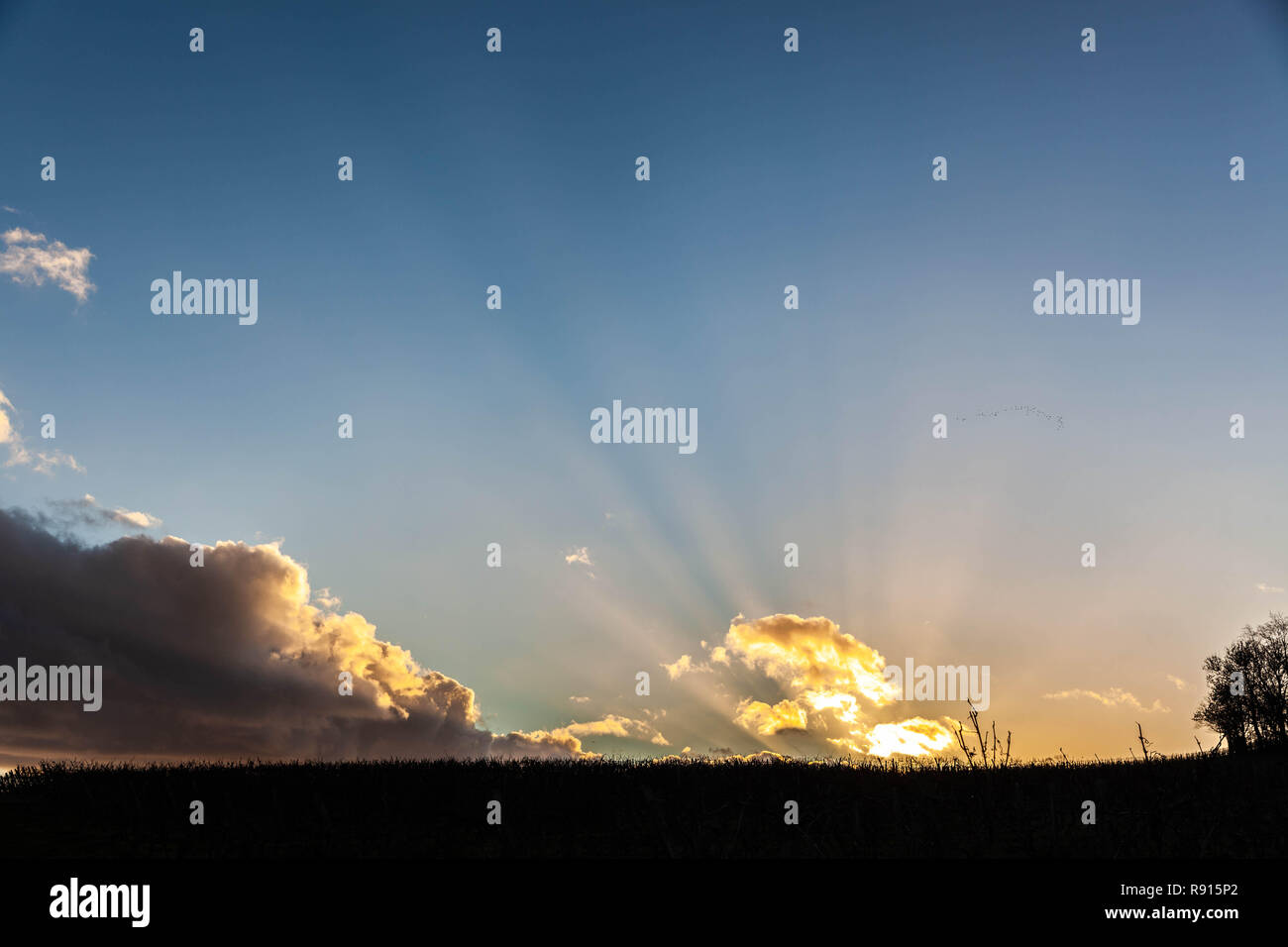 Clouds radiating beams of diffused light, Surrey Hills, Surrey, England, UK. Stock Photo