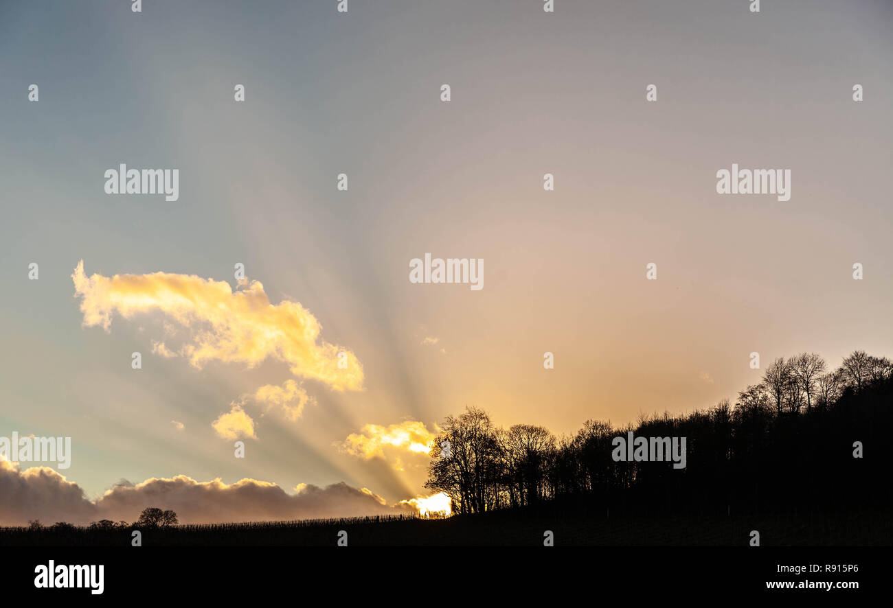 Diffused light hi-res stock photography and images - Alamy