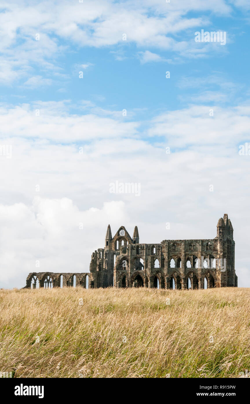 The ruins of Whitby Abbey seen in the distance over long grass. Stock Photo