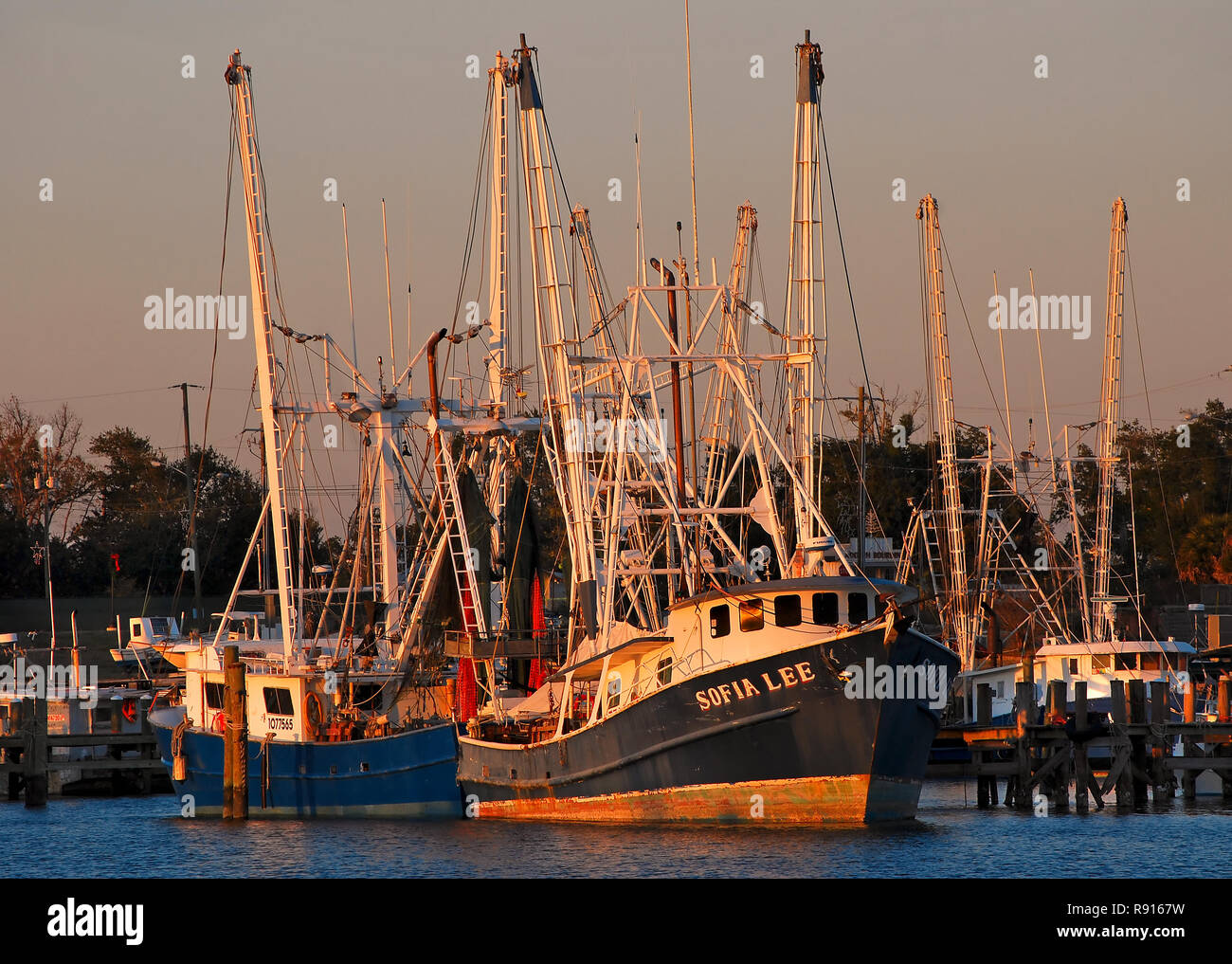 Shrimp boats dock at the Pass Christian Yacht Club in Pass Christian