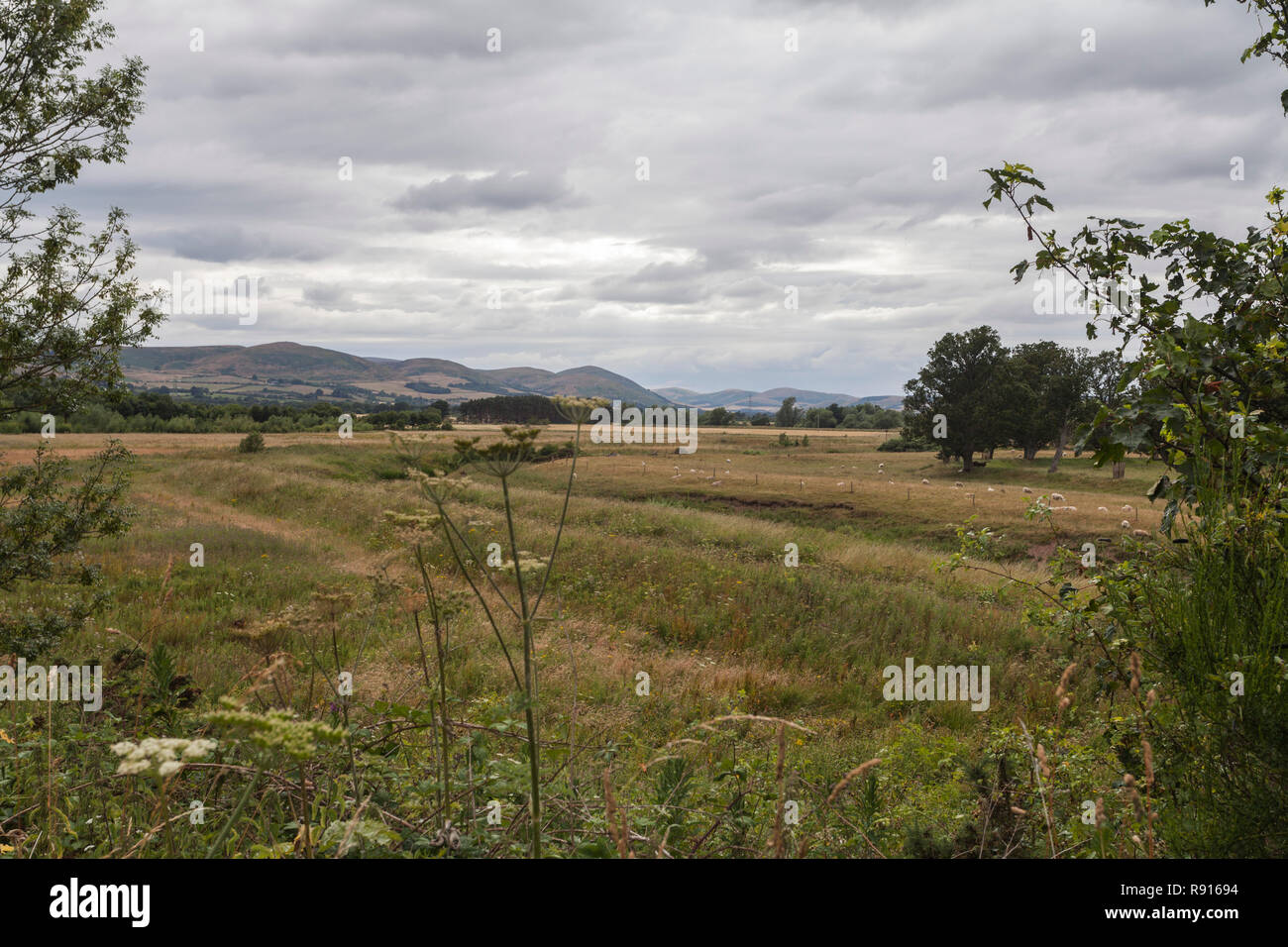 The scenic rural countryside around Chatton in Northumberland,England ...