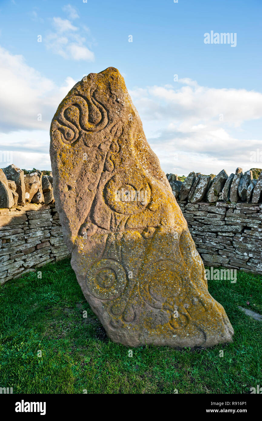 Early Medieval Standing Stone, The Serpent Stone,  by roadside at Aberlemno, Angus Scotland UK against a bright blue cloudy sky Stock Photo