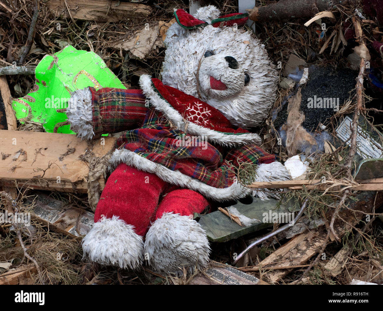 A stuffed animal lies amid storm debris in the field behind Smithville Baptist Church, May 1, 2011, after an EF5 tornado in Smithville, Mississippi. Stock Photo